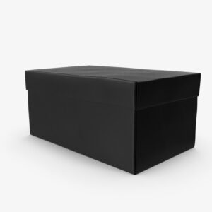 Black shoe box